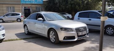 мухобойка ауди: Audi A4: 2010 г., 2 л, Вариатор, Бензин, Седан