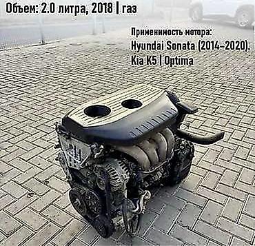 Детали двигателя и моторы в сборе: Газовый мотор Hyundai 2018 г., 2 л, Б/у, Оригинал, Корея — 4