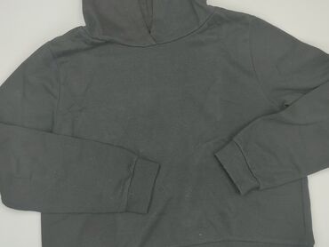 bluzki do karmienia piersią tanio: Hoodie, SinSay, 2XL (EU 44), condition - Very good