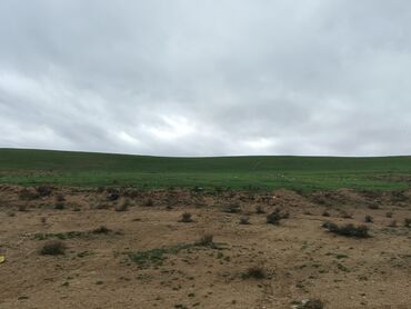 xacmazda satılan evlər: 26 sot, Biznes üçün, Mülkiyyətçi, Kupça (Çıxarış)