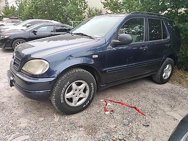 w163: Mercedes-Benz M-Class: 1999 г., 2.3 л, Механика, Бензин, Внедорожник — 1