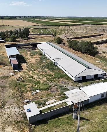 Продажа сельхоз предприятий: Кошара, 40 соток, Действующий, Частично с оборудованием, Электричество, Скважина, Холодная вода — 1