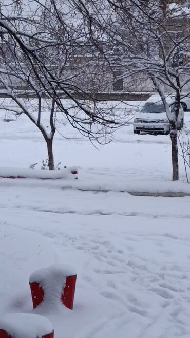 Honda: Honda Odyssey: 1999 г., 2.3 л, Автомат, Бензин, Минивэн — 9