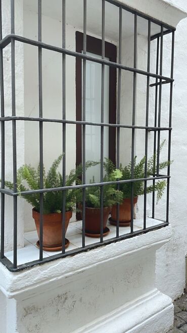 Металлические лестницы: Сварочный работа Полка для цветов Рещётка для окно и двери. Сущилка — 5