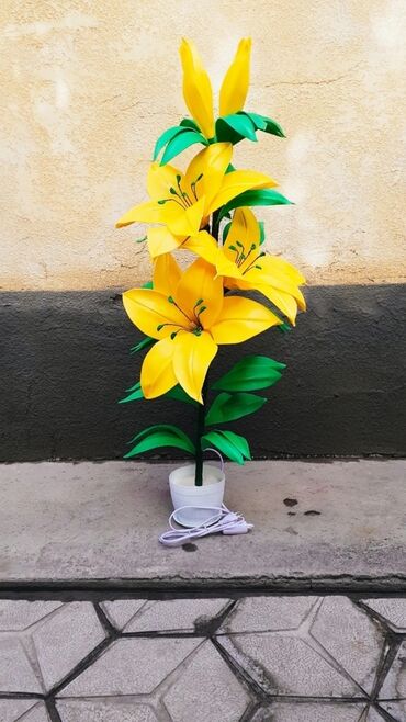 Другие услуги: Другие услуги — 13