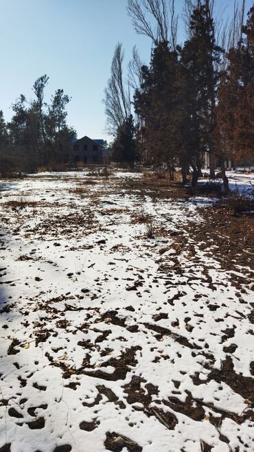 Продажа участков: 9 соток, Для бизнеса, Красная книга at lalafo.kg — 29 Продажа участков: 9 соток, Для бизнеса, Красная книга — 29