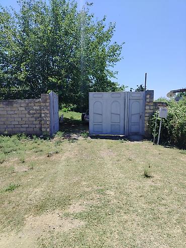 mehemmedi torpaq satilir: 200 sot, Mülkiyyətçi, Kupça (Çıxarış) — 1