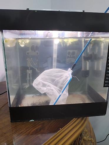 akvarium isiq: Dördbucaq akvarium, Boş, 12 l — 1