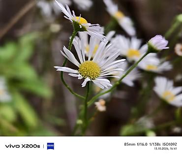 512: Vivo X200, Б/у, 512 ГБ, цвет - Зеленый, 2 SIM — 8