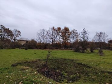 Torpaq sahələrinin satışı: Kənd təsərrüfatı — 8