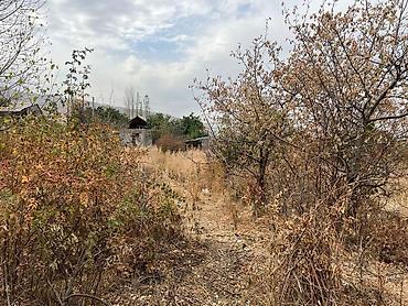 Продажа участков: 5 соток, Для строительства, Красная книга at lalafo.kg — 6 Продажа участков: 5 соток, Для строительства, Красная книга — 6