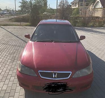 ej 204: Honda Accord: 2001 г., 2 л, Автомат, Бензин, Седан — 1