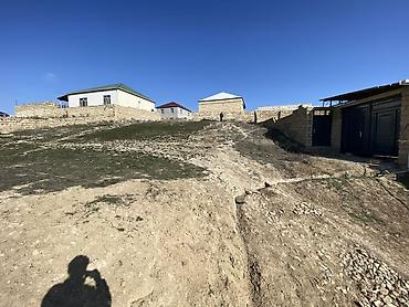 berde: Tikinti — 6