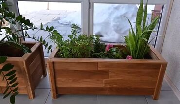 Ağaclar: Dibçəklər – bağ, eyvan, terras və interyer üçün - Material: təbii