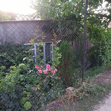 Продажа дач: Продаю домрасположен в с.Беш кунгей,Ст"Трудовой отдых" 67,красная — 20