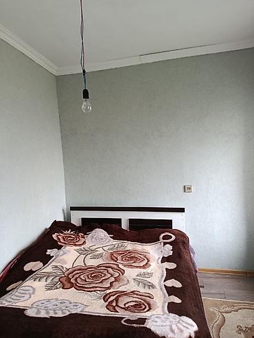 əhmədli kirayə evlər: Dağ ətəyində, yaşıllıqla əhatəli həyəti olan rayonun sakit yerinde — 5
