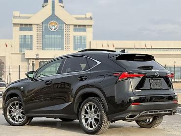 Lexus: Lexus NX: 2019 г., 2 л, Автомат, Бензин, Кроссовер — 6