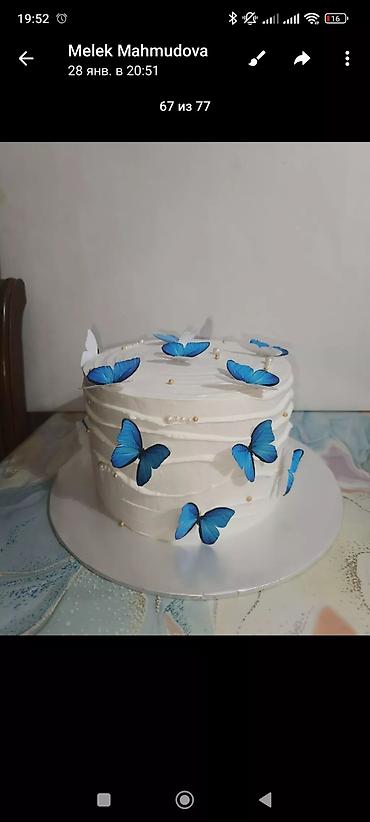 Tortlar: Tortlar — 9