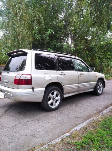 мото муравейник: Subaru Forester: 2000 г., 2 л, Автомат, Газ, Кроссовер