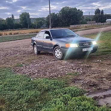 е 303 302: Audi 80: 1991 г., Седан — 2