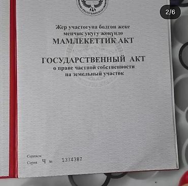 орловка кемин: 22 соток, Для бизнеса, Красная книга — 1