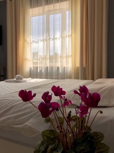 Посуточная аренда квартир: В г Каракол Посуточные квартиры Апартаменты . Студийные комнаты — 3