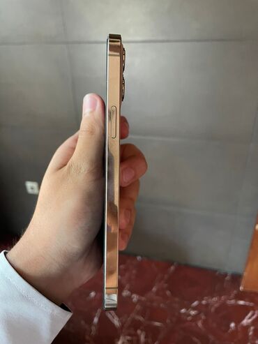 аккумулятор 12: IPhone 12 Pro Max, 256 GB