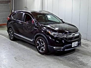 Противотуманные фары: Комплект противотуманных фар Honda 2020 г., Новый, Оригинал, Япония — 2