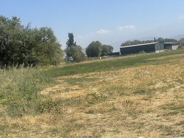 Продажа участков: 27000 соток, Для строительства, Договор купли-продажи — 13