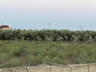 Torpaq sahələrinin satışı: 40 sot, Tikinti, Texniki pasport — 10