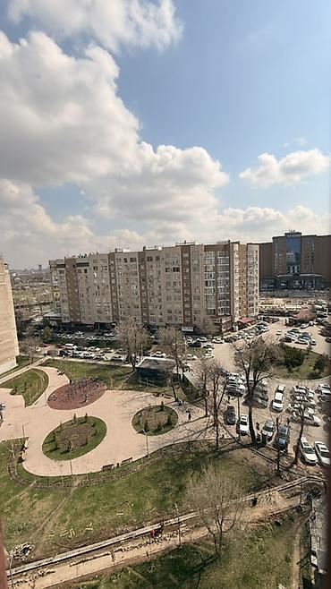 Ковры и паласы: Ковер 400 * 300 — 10