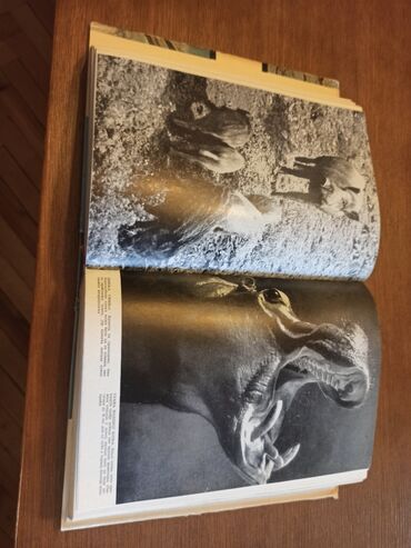 Knjige i stripovi: BREM Kako žive životinje Dobro očuvana knjiga iz 1967g. Izdavač — 9