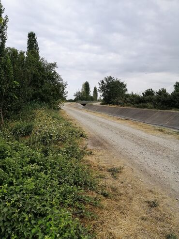 Torpaq sahələrinin satışı: 12 sot, Tikinti, Mülkiyyətçi, Kupça (Çıxarış) -da lalafo.az — 3 Torpaq sahələrinin satışı: 12 sot, Tikinti, Mülkiyyətçi, Kupça (Çıxarış) — 3