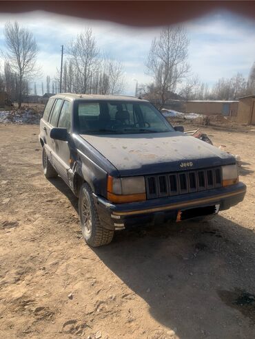 авто жпс: Jeep Grand Cherokee: 1994 г., 2.9 л, Механика, Дизель, Внедорожник