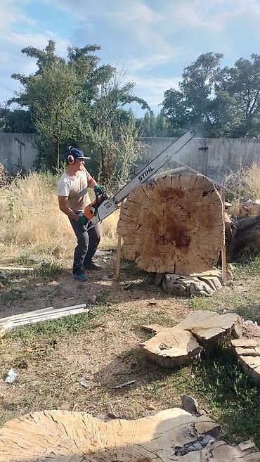Спил деревьев, заготовка дров: Бак кыйабыз отун аралайбыз. ар кандай кыйынчылыктагы 24/7 чалып — 3