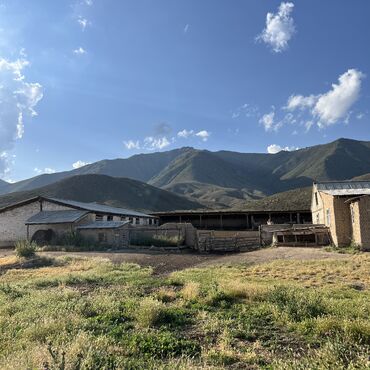 Сельхоз предприятия: Продаю Кошара, 40 соток, Действующий, С оборудованием, Отопление, Холодная вода, Электричество at lalafo.kg — 5 Сельхоз предприятия: Продаю Кошара, 40 соток, Действующий, С оборудованием, Отопление, Холодная вода, Электричество — 5