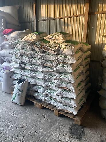 Кормовые растения: Семена кормовых растений: Эспарцет, Бесплатная доставка — 4