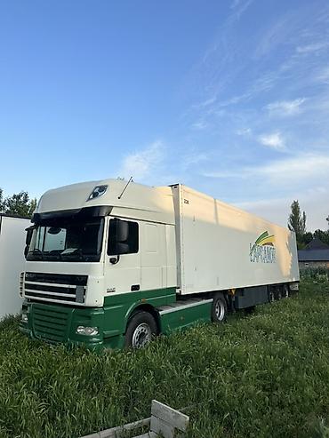 даф реф: Тягач DAF XF год 2012 свежий пригнан SCHMITZ год 2007 TERMO-KING — 3