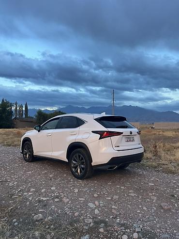 300 000: Lexus NX: 2020 г., 2 л, Автомат, Бензин, Кроссовер — 3