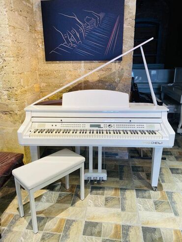 dolğu qiyməti: Azerbaycanda Medeli elektro pianolarinin resmi distribyutoru royal