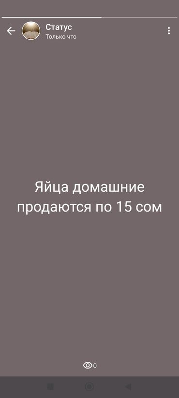 яйца брамы: Молочные продукты и яйца