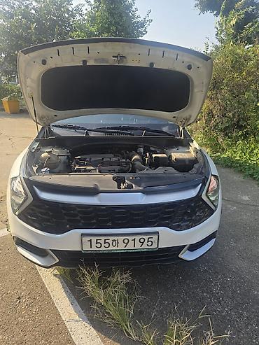 кореея: Kia Sportage: 2021 г., 1.6 л, Автомат, Бензин, Кроссовер — 5