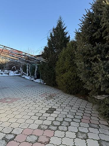 белогорка сокулук: 100 м², 5 комнат — 1