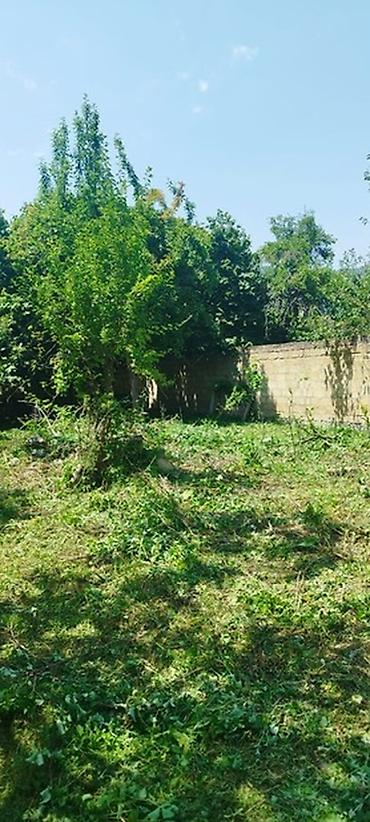 Torpaq sahələrinin satışı: Tikinti, Mülkiyyətçi, Kupça (Çıxarış) -da lalafo.az — 32 Torpaq sahələrinin satışı: Tikinti, Mülkiyyətçi, Kupça (Çıxarış) — 32