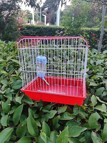 heyvan yemi: Qırmızı-ağ quş qəfəsi - Material: metal barmaqlıqlar və plastik — 1
