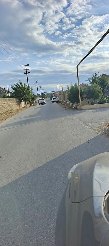 Ландшафтные работы: Peşəkar sahə təmizləmə və alaq otlarının məhv edilməsi xidməti - — 9
