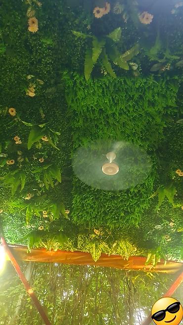 Другой декор и предметы интерьера: Ландшафтный дизайнер декоративная украшения офисный территория — 2