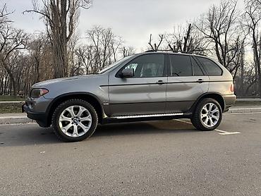 BMW: BMW X5: 2005 г., 4.4 л, Бензин, Кроссовер — 3