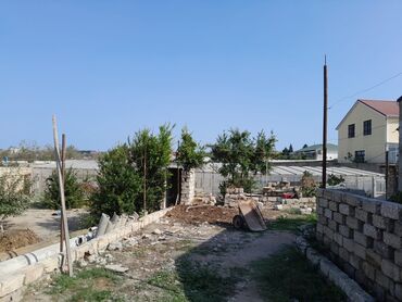 Torpaq sahələrinin satışı: Kənd təsərrüfatı — 4