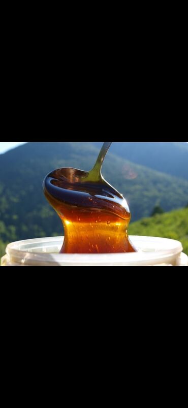 Мёд: Оптом Алтайский мёд! 100% натуральный